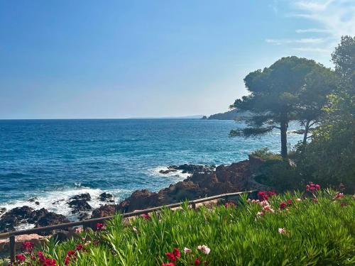Nearby attraction, Santa Margarita in Saint-Raphael