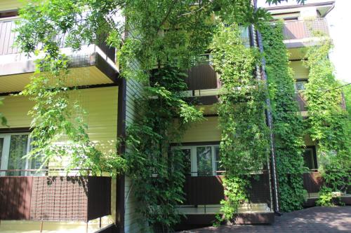 Emily Guest House