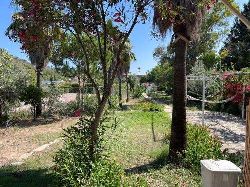Xanthos Hotel Patara Ev - image 11