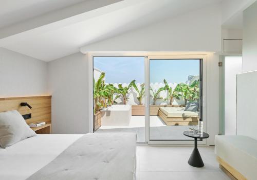 Superior Double or Twin Room with Terrace