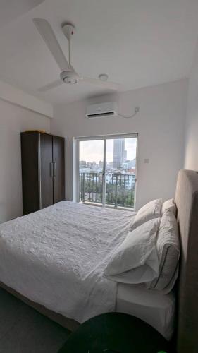 8B Flemington Colombo - image 6