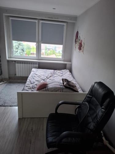 Pokoje do wynajęcia