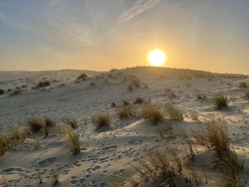 設施, Belle maison contemporaine en bois des Landes - Proche Contis Plage - Océan (Belle maison contemporaine en bois des Landes - Proche Contis Plage - Ocean) in 美索