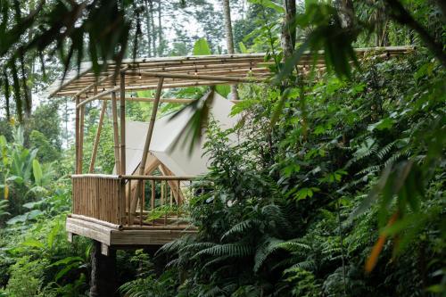 Nysa Forest Sanctuary