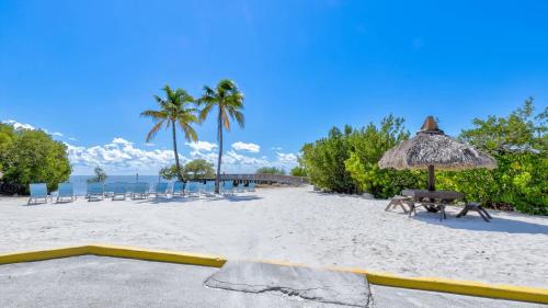 Marina and Ocean View 2 Bed 2 Bath End Unit 4201 in Tavernier (FL)