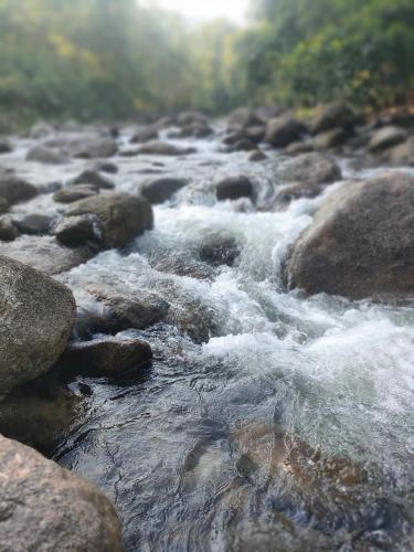 สถานีน้ำหวาน รีสอร์ท น้ำตกอ้ายเขียว in Phrom Khiri