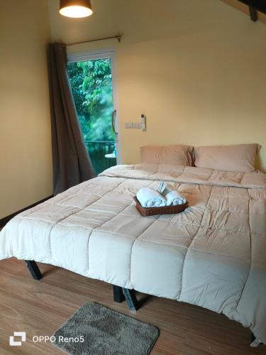 สถานีน้ำหวาน รีสอร์ท น้ำตกอ้ายเขียว in Phrom Khiri