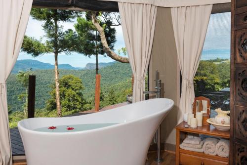 Fürdőszoba, Clouds Safari in Beechmont