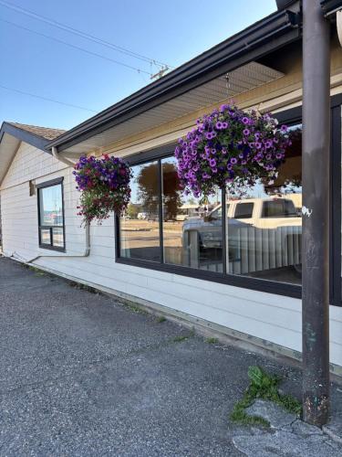 Camelot Court Motel in Prince George (BC)