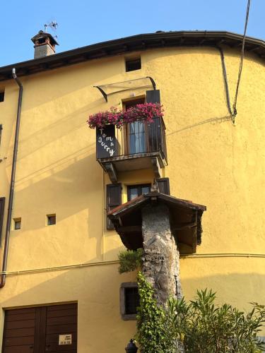 Tom e Jerry, Lierna (foto 6)