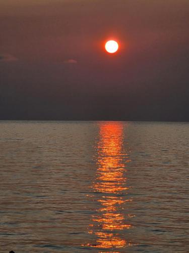 Sunny Beach Hotel in 科布列季