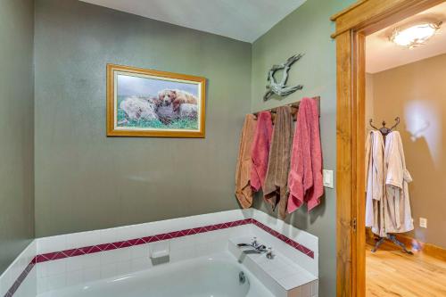 Private 5 Acres w/ Mtn Views: Park County Cabin! in Tarryall Mountain