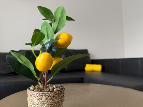 Oasis Apartament, Brusel
