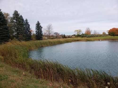 Summer Escape Close to the City in Whitchurch-Stouffville (ON)