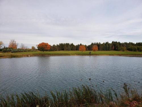 Summer Escape Close to the City in Whitchurch-Stouffville (ON)