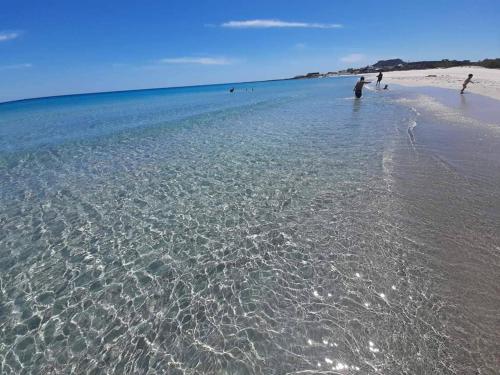 Bungalow au bord de la mer in Ezzahra (Bin `Arus)