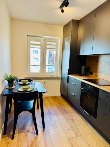 Daugava apartment in 利耶帕亚