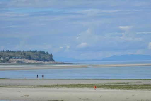 Kye Bay Winter Beach House in Comox, Canada