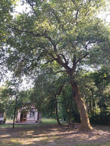 Chalet atypique in Moustey