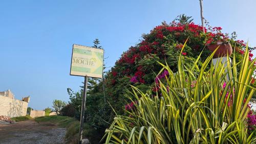 Вхід, Las Flores de Moche in Moche