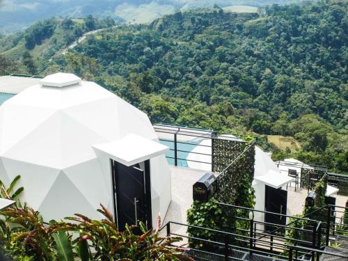 Sunrise Hill Glamping - image 5