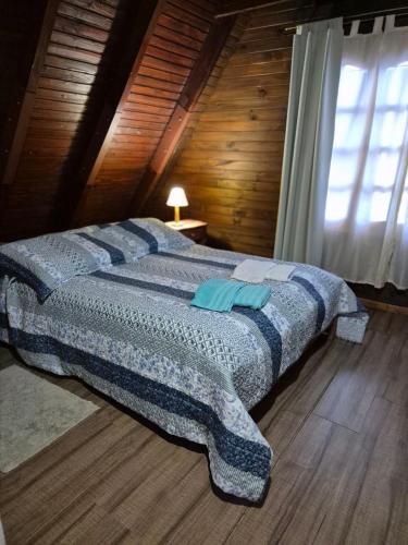 Freecis in Esquel