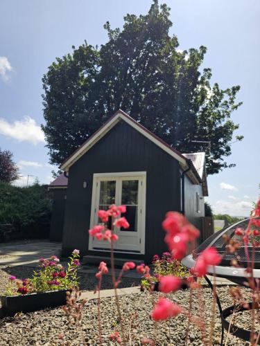 Wee Dipper Cottage Maybole in Мейбоул