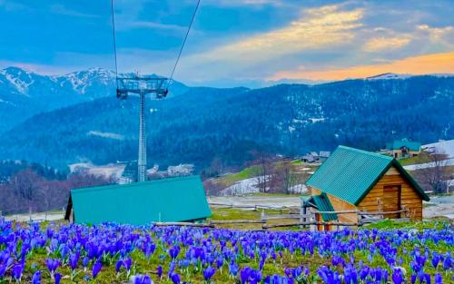 CENTRAL Kolašin (CENTRAL Kolasin) in Kolasin