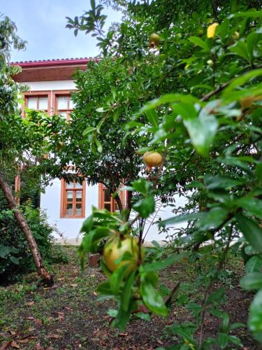 Asiye Hanım Konağı – khách sạn tại Trung tâm Trabzon