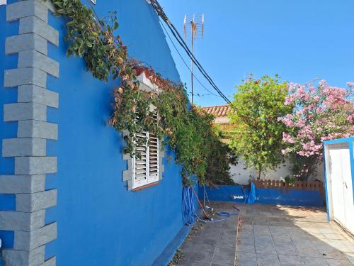 Cozy Spacious 2 room suite 3 Pax - Bright - Sea view - Near Teresitas beach