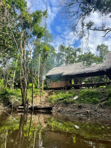 Amazon eagle Explore in Nauta