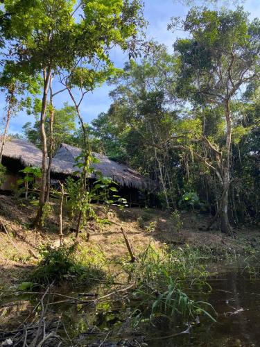 Amazon eagle Explore in Nauta
