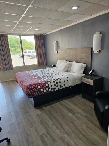 The Edyn Motel - main image