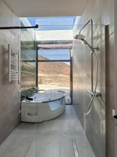 One-Bedroom Villa
