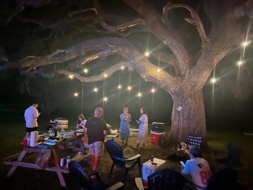 Flatonia Glamping Retreat - Musk Tiny House - Unique Container Cabin in Flatonia (TX)