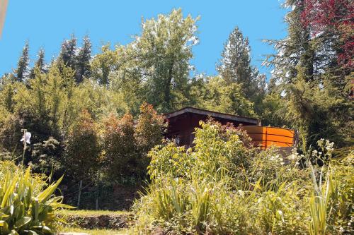 le refuge des pots rouges