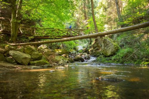 MINAROSO appartements am badeparadies MINAROSO appartements am badeparadies