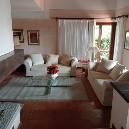 Villa Ines with pool and Jacuzzi hot tube in Терра Брачіоліні