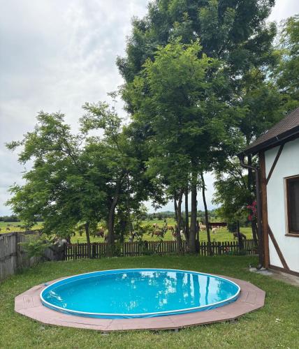 Zasavčanka (Zasavcanka) in Zasavica