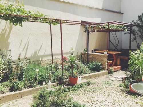 Guest house Nizama's Place - main image