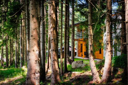 ŠTVRTÁ VODA - Apartmány Lúčky Jasná (STVRTA VODA - Apartmany Lucky Jasna) in Demanovska–Dolina