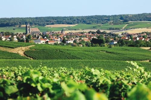 Le Relais Champenois Logis - image 8