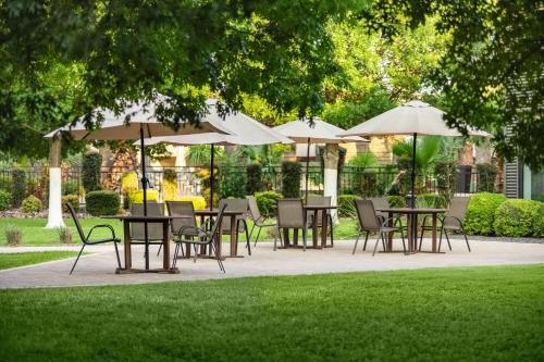 Ramada by Wyndham Del Rio - image 14
