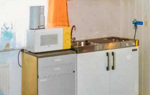 virtuve, Holiday Home Am Wiesengrund V in Locknitz