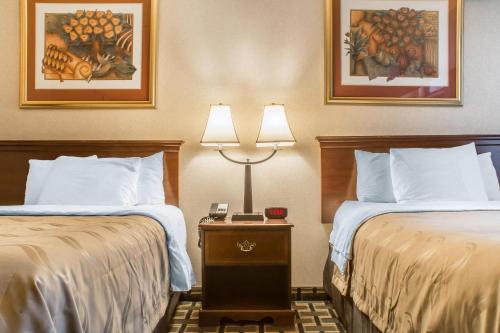 Quality Inn & Suites Palm Island Indoor Waterpark - image 11