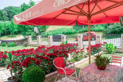 Apartmani "Vila Jelena" Arandjelovac in Arandjelovac