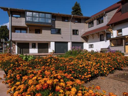 A szálláshely kívülről, Saunaloft Schwarzwald in Aichhalden