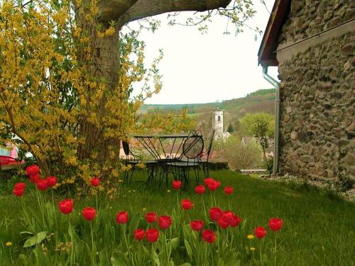 Kert, Kapolcs Cottage in Kapolcs