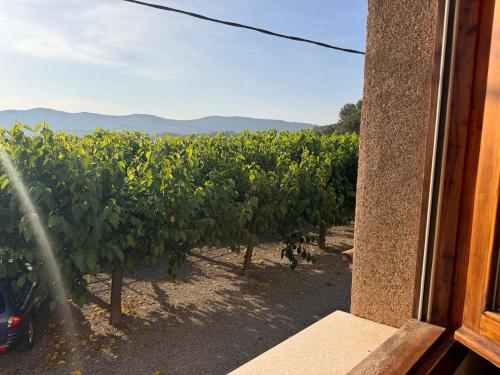 Hostal El Violi in คาร์โดนา