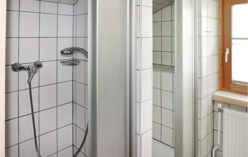 Schoene Ferienwohnung Schladm in Gleiming